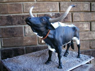 Breyer Bull Longhorn Bull Custom Steer Ooak Blue Roan Old West Texas Cattle