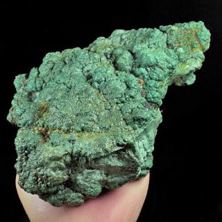 6180ct 100 Natural Brain Turquoise Nugget Intact Specimen Yscg37