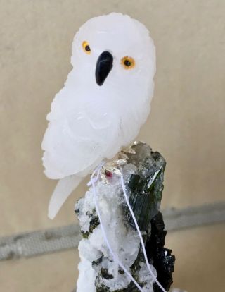 Snowy Owl on Tourmaline and Albite 4 1/4 