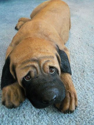 Large Signed Sandra Brue Sandicast Large Mastif Pup Dog Life Like 18”long