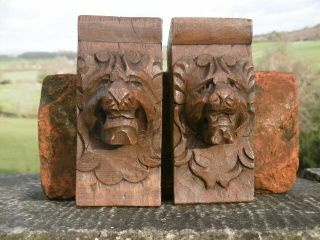 Pr 19thc Gothic Wooden Oak Carved Lion Corbels C.  1870 
