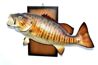 Bronze Smallmouth Bass 18 " Taxidermy Fish Mount Fishing Lodge Cabin Decor