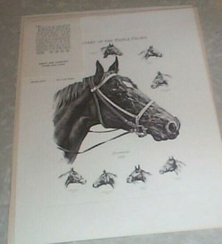 Kentucky Derby Winner Horses 11 Pictures By Jack Tunell