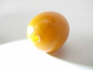 Antique 29.  7 MM 1 3/16 - In Cylindrical Natural Butterscotch Amber Bead 8.  8 Grams 3