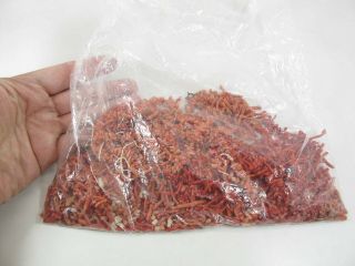 270 Grams Of Antique Loose Red Salmon & White Branch Coral