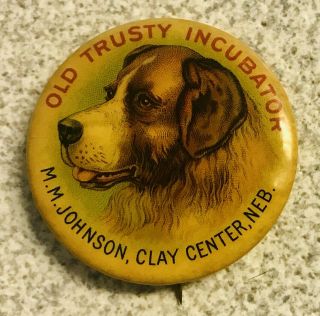 Vintage Old Trusty Incubator,  Clay Center,  Nebraska,  Pinback,  C 1900,  1 1/2 Inch