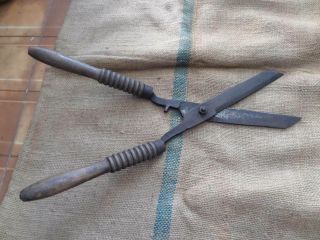 Vintage Antique Garden Shears Tool Gardening Scissors