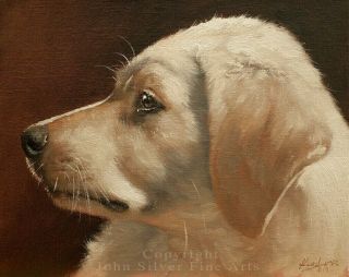 Yellow Labrador Retriever Dog Oil Painting By Master Artist John Silver