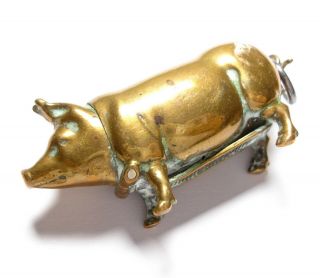 Antique Victorian Or Edwardian Pig Shaped Vesta Case Af
