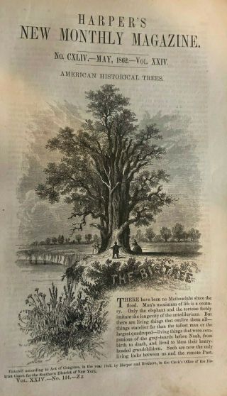 1862 American Historical Trees Charter Oak Penn 