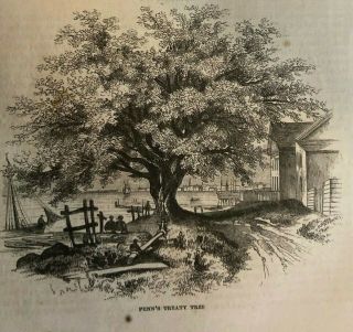 1862 American Historical Trees Charter Oak Penn ' s Treaty Tree Washington Elm 3