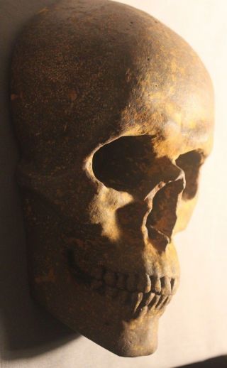 Human Skull Death Mask Oddity Medical School French German Gothic Masonic 2