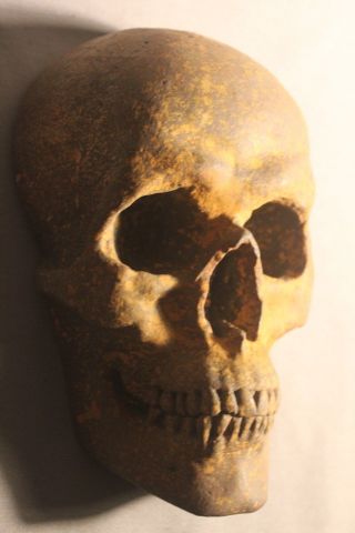 Human Skull Death Mask Oddity Medical School French German Gothic Masonic 3