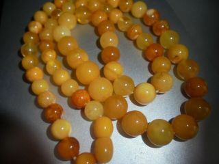 Antique Art Deco Natural Egg Yolk Butterscotch Baltic Amber Bead Necklace 22 In