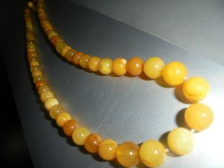 ANTIQUE ART DECO NATURAL EGG YOLK BUTTERSCOTCH BALTIC AMBER BEAD NECKLACE 22 IN 2
