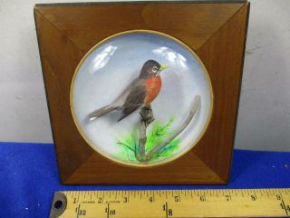 Vintage Arthur Peltier Diorama Carved Robin Bird Under Glass,  Art (a17)
