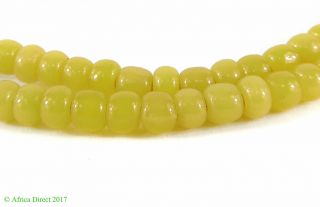 French Pony Seed Trade Beads Greasy Yellow Uncirculated