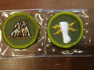 Bsa Merit Badge Re Twill 1960 - 1969 Dog Care And Electricity