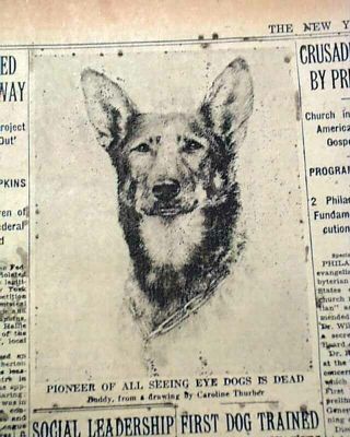 Buddy 1st Seeing Eye Guide Dog Morris Frank Service Animal Death 1938 Newspaper