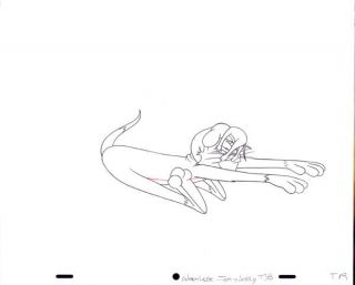 Warner Bros Animation Art Cel Production Drawing Tom & Jerry Cat 9