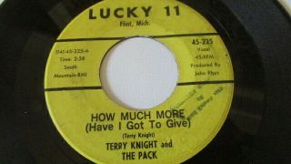 Terry Night & The Pack / Grand Funk Michigan Garage 45 Lucky 11 How Much More