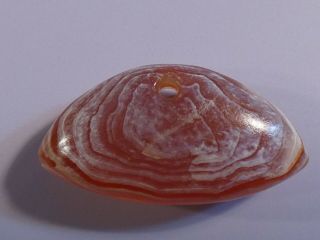 Ancient Asia Minor Mesopotamian Banded Agate Eye Bead Pendant 26.  8 By 14 Mm