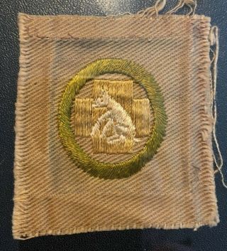 Boy Scout First Aid To Animals 1 1911 - 1919 Merit Badge (type Aa) Oversized Gpoc