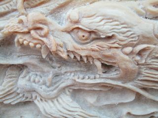 Large 3 Foot Carved Bone Chinese Dragon Attacking Phenoix - Swordfish Rostrum