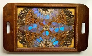 Made In Brazil Vintage Iridescent Butterfly Wings Inlaid Wood Tray 19”/11.  5”