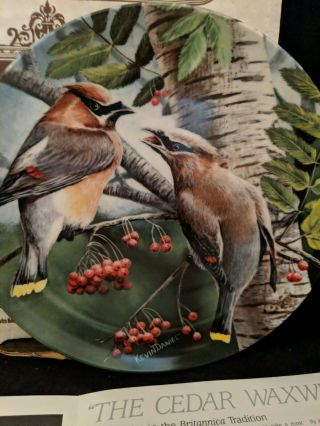 ' The Cedar Waxwing ' Limited Edition Plate by Kevin Daniel,  1987 Bird Lovers Gift 2