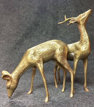 Vintage Solid Brass Deer Buck Doe Figurine Home Decor 10 " Tall 3lb 10oz N