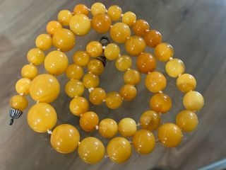 Vintage String Of Yellow Baltic Amber Graduated Round Beads Necklace 34 Gm