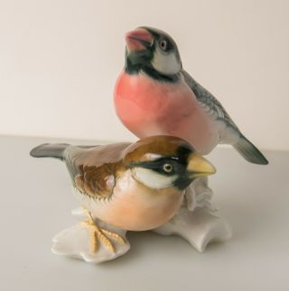 Vintage Karl Ens Robin Bird Figurine Birds Porcelain 1919 - 1945 Volkstedt
