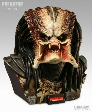 Predator Life Size Bust By Stan Winston And Sideshow