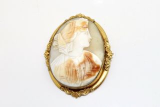 A Large Antique Victorian Gold Plated Shell Cameo Brooch 15443