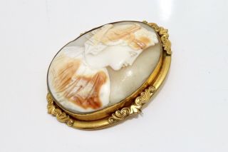 A Large Antique Victorian Gold Plated Shell Cameo Brooch 15443 2