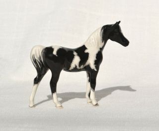 Tiny Sm Black And White Paint Pinto Half Arabian Horse Ceramic China Figurine