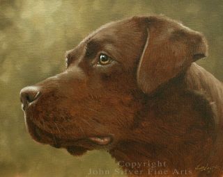 Chocolate Labrador Retriever Dog Oil Painting By Uk Artist John Silver