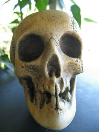 Vintage Randotti Medium Skull 829 Still Glows In The Dark