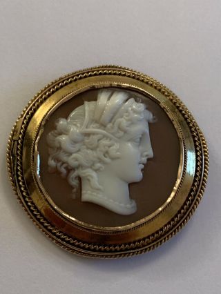 Charming Victorian 15ct Gold Carved Shell Cameo Brooch - Rope Border