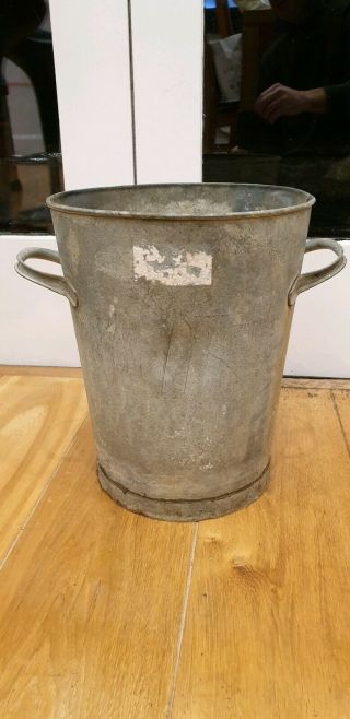 Large Vintage Galvanized Double Handled Bucket as a large shrub Planter Pot 2