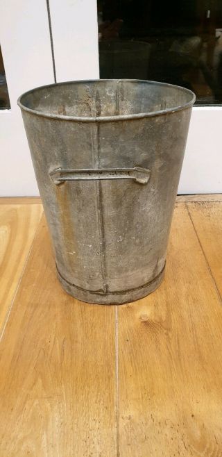 Large Vintage Galvanized Double Handled Bucket as a large shrub Planter Pot 3