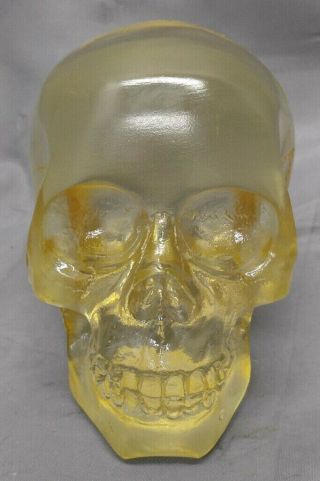 Vintage Clear Acrylic Anatomical Human Skull Model Sculpture