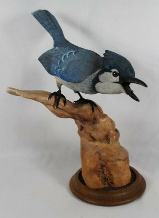 Blue Jay Wood Carving Ie Dick Erickson California Birder Bird Folk Art 13.  5 "