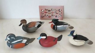 Jett Brunet Ducks Unlimited Miniature Decoys 5 Piece Colllection