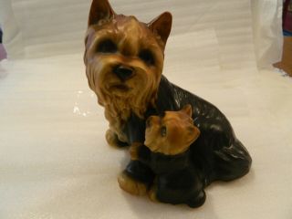 Yorkshire Terrier Yorkie Dog Adult And Pup Hand Painted