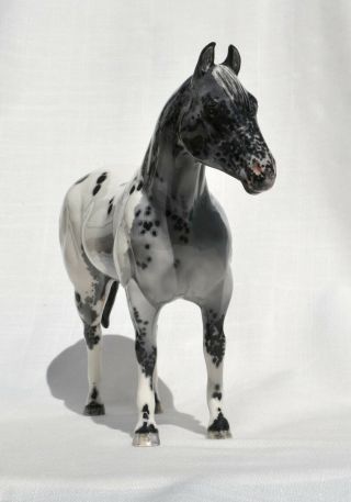 TR QH Splashy Leopard Appaloosa Quarter Horse Ceramic China Figurine 3