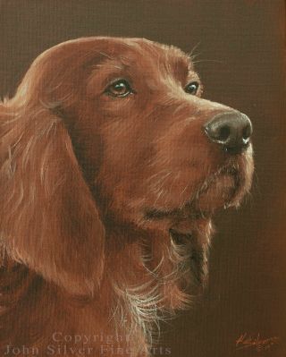 Irish Setter Dog Portrait Oil Painting By Uk Master Artist John Silver