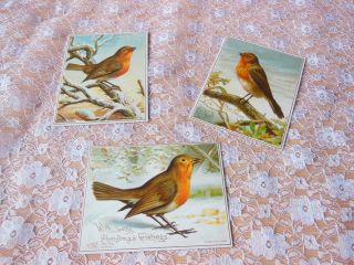 Victorian Christmas/new Year Cards/robins/raphael Tuck/f.  Mc