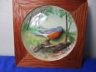 Vintage Arthur Peltier,  Ri Carver,  Male Blue Bird Carved Bird Diorama (a17)